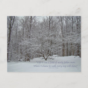 Schnee auf Dogwood Trefferquote Denis Waitley Postkarte
