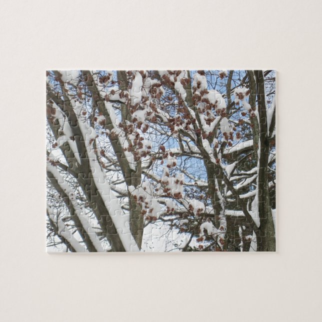 Schnee auf einem japanischen Ahorn — Puzzle (Horizontal)