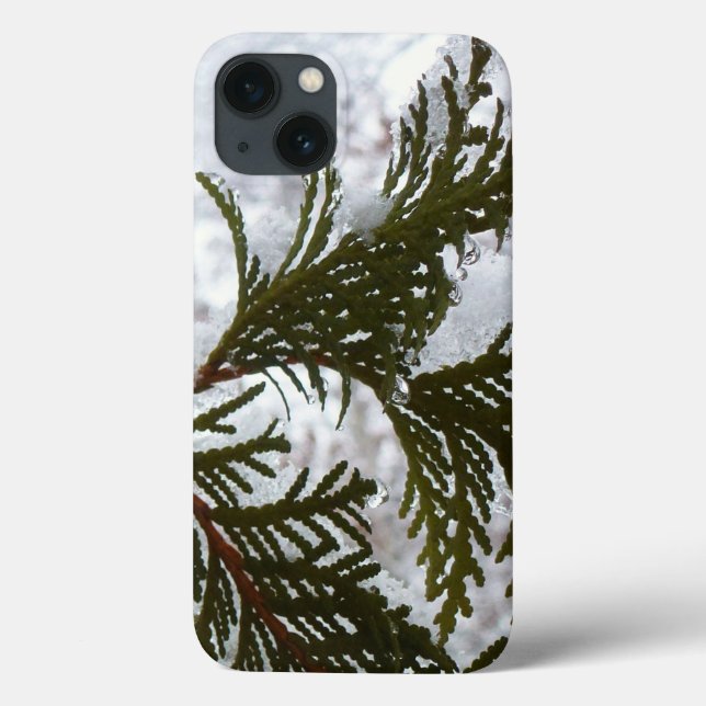 Schnee auf Evergreen Branchen Case-Mate iPhone Hülle (Rückseite)