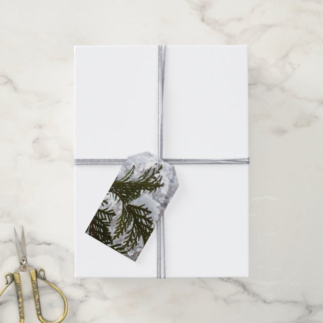 Schnee auf Evergreen Branchen Geschenkanhänger (Mit Garn)