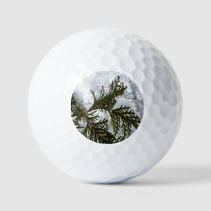 Schnee auf Evergreen Branchen Golfball