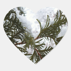 Schnee auf Evergreen Branchen Herz-Aufkleber