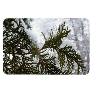 Schnee auf Evergreen Branchen Magnet