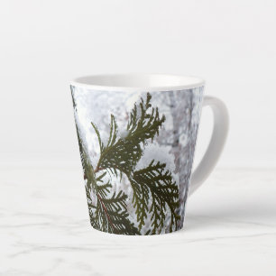 Schnee auf Evergreen Branchen Milchtasse