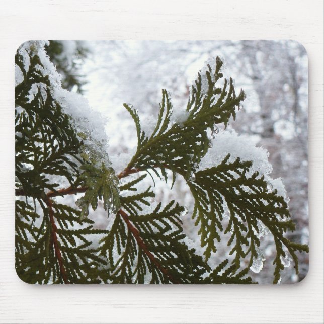 Schnee auf Evergreen Branchen Mousepad (Vorne)