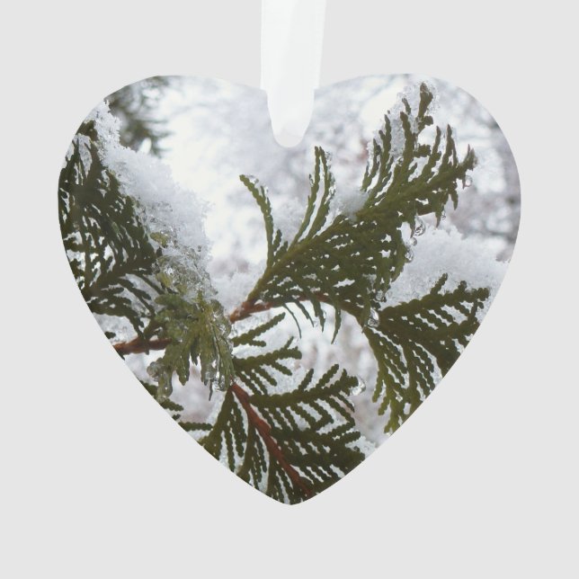 Schnee auf Evergreen Branchen Ornament (Rückseite)