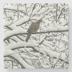 Schnee Baum Zweige Vogel (Fotografie von mir) Steinuntersetzer