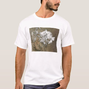 Schnee bedeckt das Rocky Mountains im Vereinigten  T-Shirt