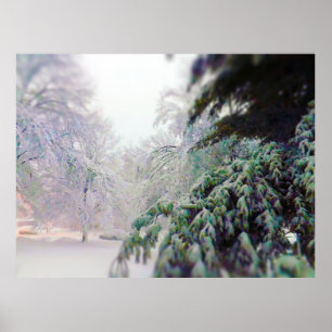 Schnee bedeckte Bäume, Kiefer auf kc-Straße Poster