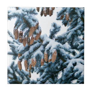 Schnee bedeckte Kiefernzweige und Zapfen Fliese