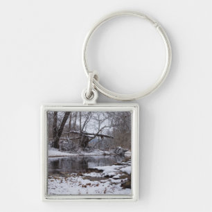 Schnee bei Finley Schlüsselanhänger