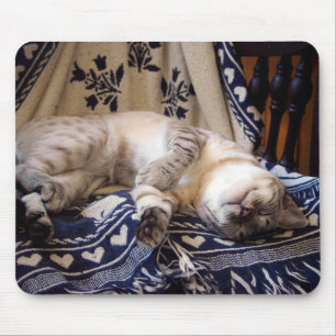 Schnee bengalisch auf Rocker Mousepad