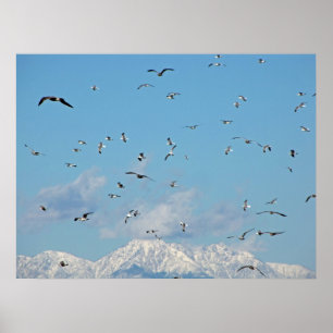 Schnee-Berg Poster