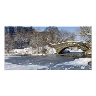 Schnee-Brücken-und Eis-Central Park Fotodruck