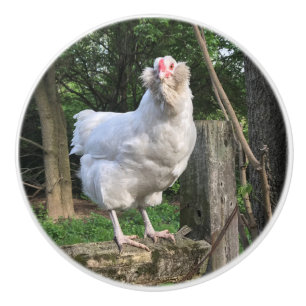 Schnee, das Ameraucana Hühnchen Gesichter rechts Keramikknauf