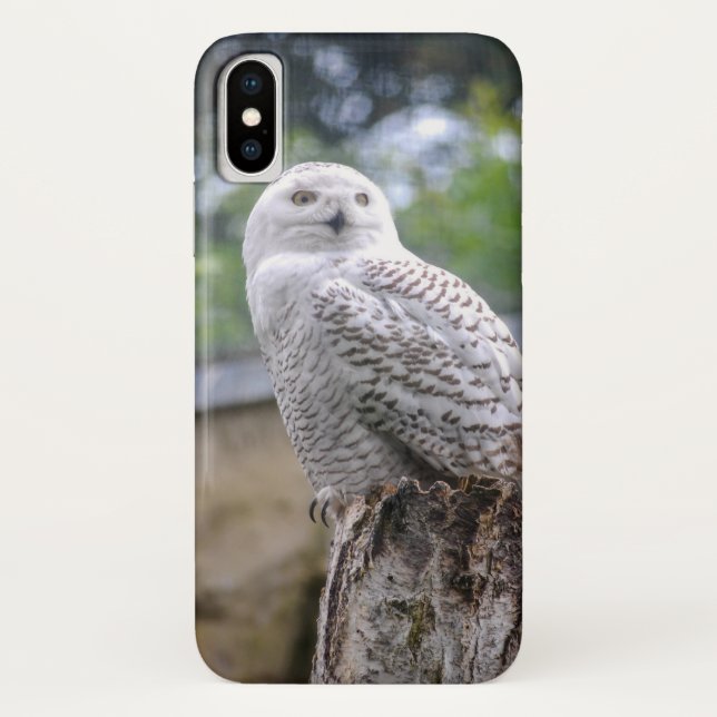 Schnee-Eule Case-Mate iPhone Hülle (Rückseite)