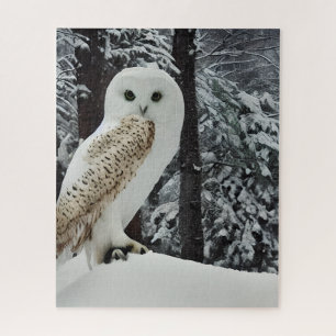 Schnee-Eule  Puzzle