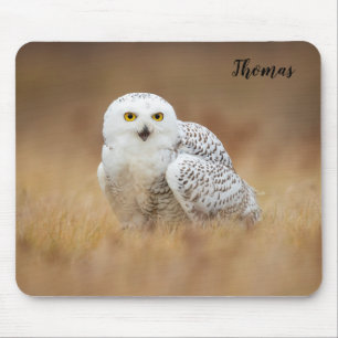 Schnee-Eulen-Mauspad Mousepad