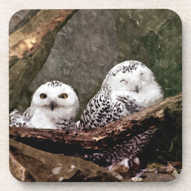 Schnee-Eulen-Paar-Wald-Wildlife-Kunst Getränkeuntersetzer (Vorderseite)