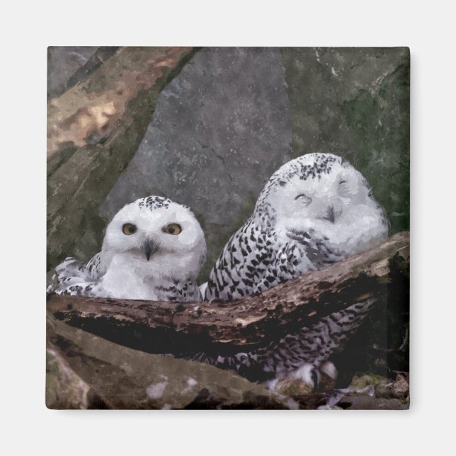 Schnee-Eulen-Paar-Wald-Wildlife-Kunst Magnet (Vorne)