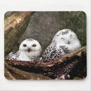 Schnee-Eulen-Paar-Wald-Wildlife-Kunst Mousepad