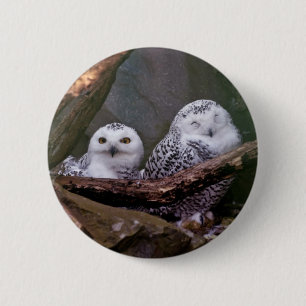 Schnee-Eulen-Paar-Wald-Wildtier-Kunst Button