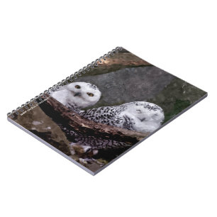 Schnee-Eulen-Paar-Wald-Wildtier-Kunst Notizblock