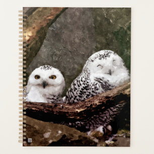 Schnee-Eulen-Paar-Wald-Wildtier-Kunst Planer