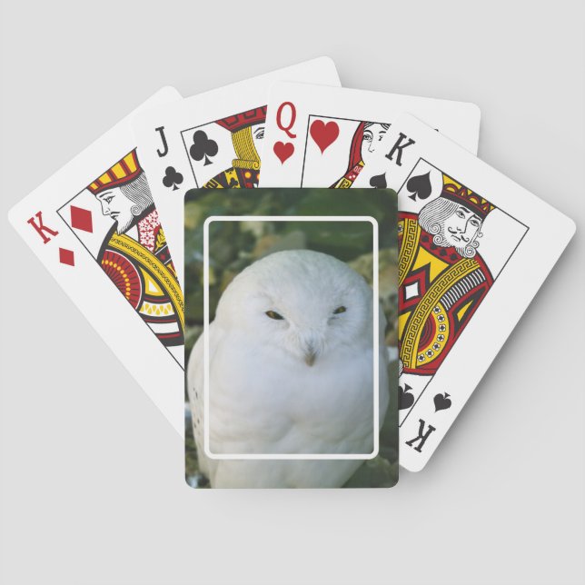 Schnee-Eulen-Spielkarten Spielkarten (Rückseite)