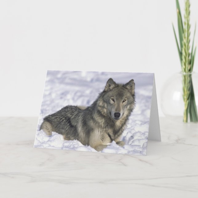 Schnee Feiertagskarte (Vorderseite)