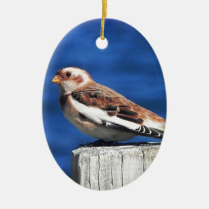 Schnee-Flagge Keramik Ornament