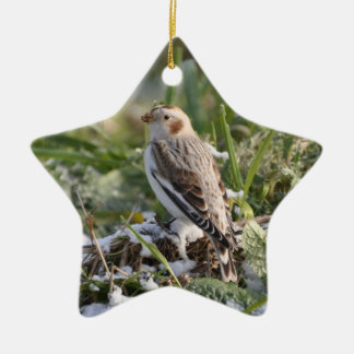 Schnee-Flaggen-Verzierung Keramik Ornament
