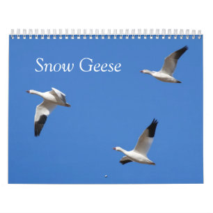 Schnee-Gans-Gewohnheit Druckkalender Kalender