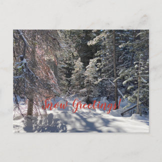 Schnee Grüße aus Tahoe City! Postkarte