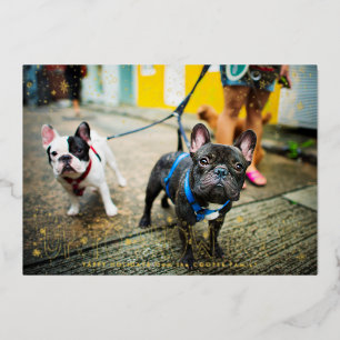 Schnee gut   Foto-Karte für den Urlaub für Haustie Folien Feiertagskarte