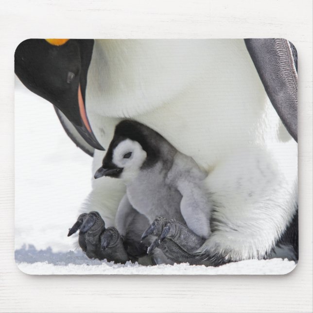 Schnee-Hügel-Insel des Kaiser-Pinguin-| Mousepad (Vorne)