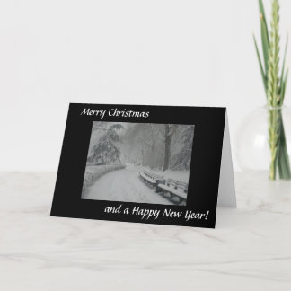 Schnee im Central Park Feiertagskarte