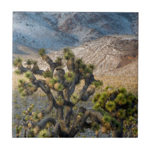 Schnee im Death Valley Fliese