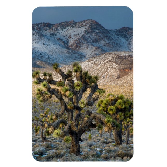 Schnee im Death Valley Magnet (Vertikal)