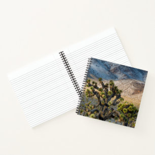 Schnee im Death Valley Notizbuch