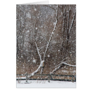 Schnee im Park