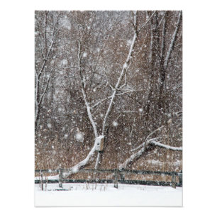 Schnee im Park Fotodruck