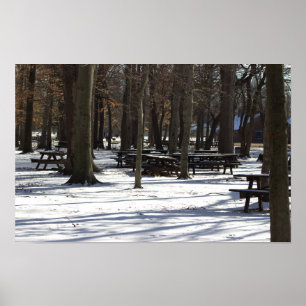 Schnee im Park Poster