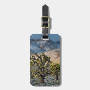 Schnee im Todestal Gepäckanhänger