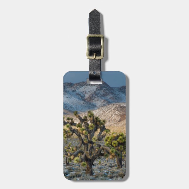 Schnee im Todestal Gepäckanhänger (Vorderseite vertikal)