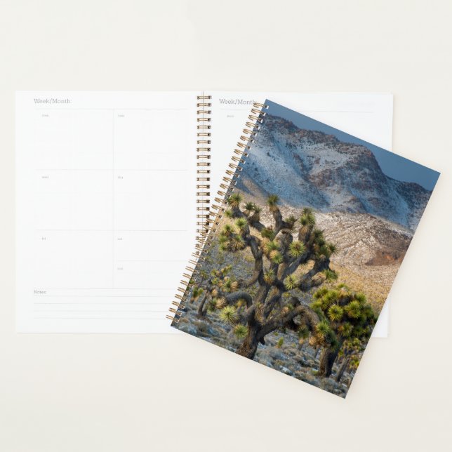 Schnee im Todestal Planer (Anzeige)