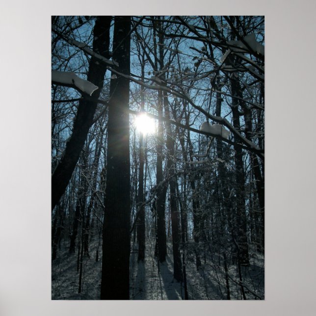 Schnee im Wald Poster (Vorne)