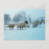 Schnee im Winter Raclus Jigsaw Puzzle