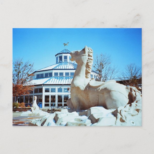 Schnee in Coolidge Postkarte (Vorderseite)