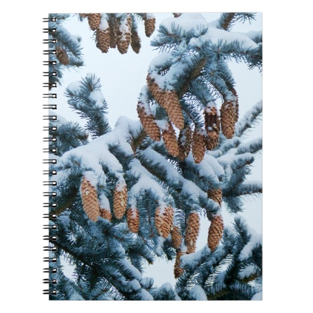 Schnee in den Pines-Notebooks Notizblock (Vorderseite)